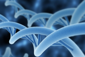 Solid Phase Peptide Synthesis