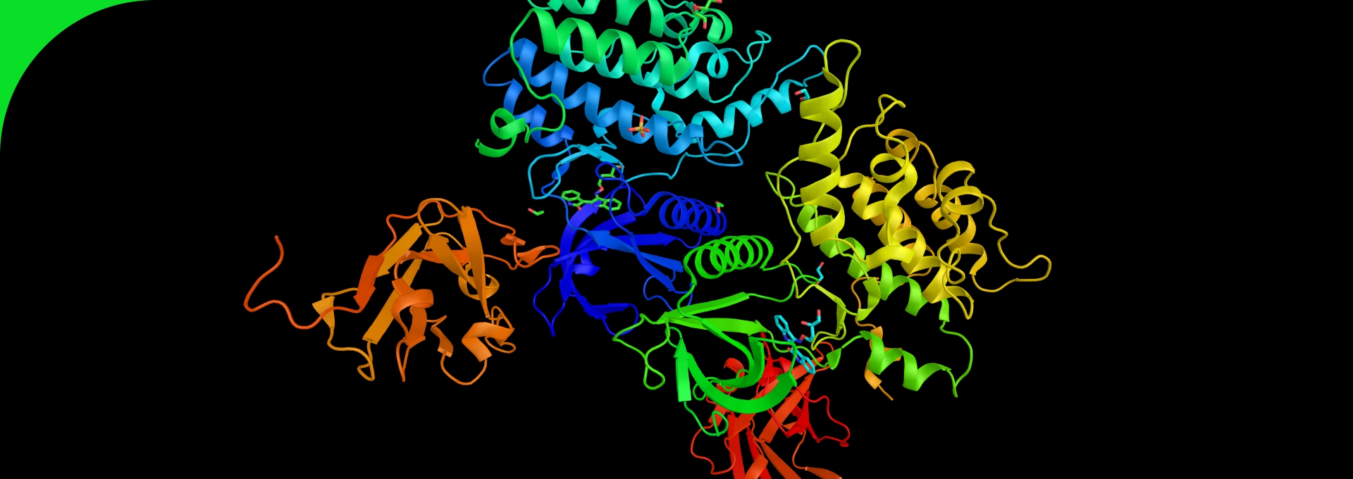 Immobilized Enzyme Carrier